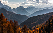 Luftaufnahme der majestätischen Dolomiten mit Herbstlaub und ruhigen Wäldern, Passo Giau, Belluno, Italien.