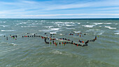 Collingwood, New Zealand - 19 January 2025: Aerial view of whale stranding rescue efforts with dedicated volunteers forming a human chain along the coastline, Pakawau, Tasman, New Zealand.