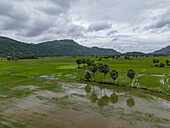 Aerial view of lush rice paddies and tranquil water reflecting palm trees amidst scenic mountains, Chau Lang, Tri Ton, An Giang, Vietnam.