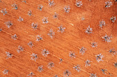 Aerial view of beautiful almond trees in geometric rows on a scenic rural landscape, Velez-Rubio, provincia de Almeria, Spain.