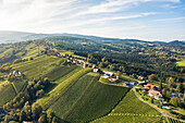 Luftaufnahme von malerischen Weinbergen und sanften Hügeln in einer üppigen Agrarlandschaft, Greisdorf, Steiermark, Österreich.