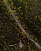 Aerial view of a winding road through lush forest and tranquil trees at sunrise, Alaior, Balearic Islands, Spain.