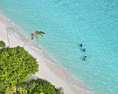 Aerial view of a beautiful tropical beach with clear water and palm trees, Bileyfahi, Shaviyani Atoll, Maldives.