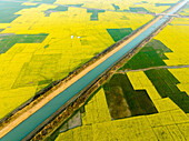 Luftaufnahme von ruhigem Ackerland mit leuchtend grünen und gelben Feldern und einem ruhigen Kanal, Saguna, Tarash, Rajshahi, Bangladesch.