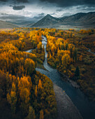 Luftaufnahme eines sich windenden Flusses, umgeben von buntem Herbstlaub und ruhigen Bergen, Almont, Colorado, Vereinigte Staaten.