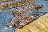Aerial view of sawmill and timber yard with stacked logs and wood shavings, Wolfsberg, Carinthia, Austria.