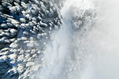 Luftaufnahme einer ruhigen Schneelandschaft mit gefrorenen Kiefern und Nebel, Val de Bagnes, Wallis, Schweiz.