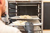 Ein Bäcker legt rohe Croissants auf ein Backgestell in einer italienischen Bäckerei Die Szene zeigt den handwerklichen Prozess und die Hingabe bei der Herstellung traditioneller Backwaren