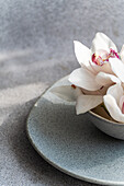 Ein zartes Arrangement aus weißen Orchideen in einer strukturierten Keramikschale. Die weiche Beleuchtung hebt die Blütenblätter hervor und schafft eine ruhige und elegante Komposition, die sich ideal für Dekorthemen eignet.