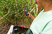 A person uses a smartphone to take pictures of vegetables in a garden, symbolising the integration of technology and agriculture for efficient growing methods.