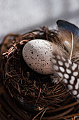 Close-up of a finely dotted Easter egg in a rustic nest, surrounded by natural fibres and feathers that create a warm, Christmassy atmosphere.