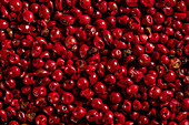 Densely packed red peppercorns with bright colour and some with visible stems that have different shades and textures.