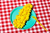 A visually striking arrangement of fresh yellow flowers on a bright turquoise plate in front of a red chequered tablecloth. Perfect for themes such as summer and creativity.