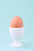 A perfectly placed brown egg sits in a bright white egg cup against a calming blue background, creating a minimalist design aesthetic.