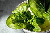 Close-up of fresh bok choy leaves in natural light, with bright green colour and texture with water droplets. Ideal for cookery, health and organic themes.