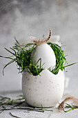 Elegant and simple Easter egg with fresh green grass and delicate feathers, presented on a textured grey background that evokes a springtime ambience.