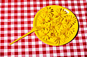 Bright yellow flowers arranged on a yellow plate against a red and white chequered background create a contrasting and colourful composition.