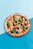 Top view of a delicious mozzarella pizza topped with bacon, cherry tomatoes, black olives, basil and mushrooms, served on a bright turquoise background.