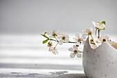 Weiße Kirschblüten ragen elegant aus einer gesprenkelten Keramikvase vor einem weichen, verschwommenen Hintergrund. Dieses ruhige und sanfte Arrangement ist perfekt für die Osterfeiertage und fängt die Essenz der Frühlingserneuerung ein.