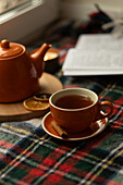 Warm autumn scene with an orange teapot and cup on a chequered blanket, accompanied by an open book. A cinnamon stick and a dried orange slice add seasonal charm to the scene.