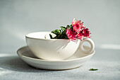 A cheerful composition with delicate pink flowers, elegantly arranged in a simple white cup and saucer.