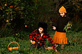 Two children in cosy clothes are picking oranges in a bright green garden. Next to them is a wicker basket filled with fruit, depicting an idyllic outdoor harvest scene.