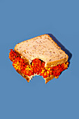Close-up of a sandwich filled with bright red and yellow flowers against a bold blue background. The mixture of food and floral elements creates a unique, artistic image.