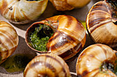 This image shows a close-up of baked snails, each filled with a rich, green parsley butter, and emphasises the culinary appeal and complex textures of the dish.