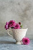 A group of bright pink asters, elegantly arranged in a textured white ceramic mug, placed on a soft grey surface, perfect for a rustic decor theme