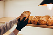 A gloved hand selects a fresh loaf of bread from a wooden shelf in a cosy bakery. The artisan breads have a rustic, crispy crust in warm lighting