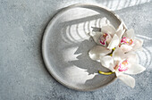 Beautiful white orchids on a round grey ceramic plate create an elegant and minimalist decoration. Soft natural light casts gentle shadows that enhance the tranquil atmosphere.