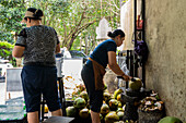 Two women prepare coconuts at a street stall and open them with a machete. Fresh coconuts are piled up in the background, giving an insight into tropical street food culture.