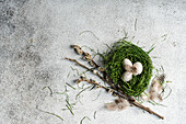 Top view of a rustic Easter decoration with a nest of fresh green grass decorated with spotted eggs and natural twigs. Feathered elements add a delicate touch to the textured grey background, symbolising spring and renewal.