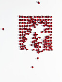 A creative arrangement of scattered pomegranate seeds on a white background. The bright red seeds contrast beautifully with the simplicity of the canvas.