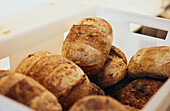 Warm, freshly baked loaves of bread are stacked in a white plastic tray that captures the rustic charm and inviting aroma of a traditional bakery