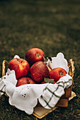 A luscious assortment of fresh, juicy red apples in a traditional wicker basket, elegantly decorated with a cloth and placed on a grassy area.