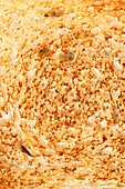 Detailed close-up of a toasted slice of bread, showing a golden, crispy crust with air pockets and grain details, perfect for backgrounds and food-related content.