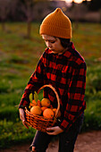 A small child wearing a cap and a red and black chequered shirt carries a basket full of fresh oranges in an outdoor setting. The scene is warm and cheerful.