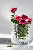 Vibrant pink flowers in a clear, textured glass vase The sunlight casts delicate shadows and emphasises the intricate details of the petals and the glass surface