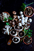 Selection of mushrooms, including fresh portobello, shiitake, white cup mushrooms and oyster mushrooms as well as dried porcini mushrooms, sliced shiitake and mixed wild mushrooms.