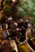 Group of chestnuts on a carpet of autumn leaves. Front view.