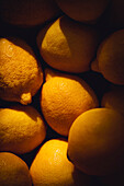 Lemons in sunlight and shade