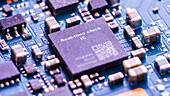 Real-time clock microchip