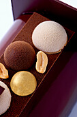 Bûche de Noël with chocolate mousse and peanuts, close up