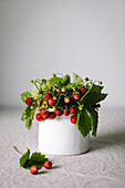 Wild strawberries with leaves in a white porcelain container