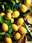 Zitronen mit Zitronenblättern