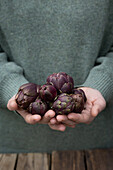 Hands holding baby artichokes