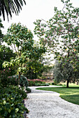 Curved gravel path and flowering shrubs through historic garden