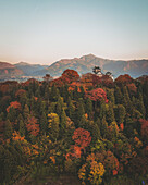 Luftaufnahme der Burg Echizen-Ono bei Sonnenuntergang während der Koyo-Saison, Fukui, Japan.