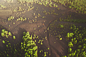 Aerial view of volcanic landscape with Montana Quemada and Llano de Las Brujas, El Paso, Santa Cruz de Tenerife, Spain.